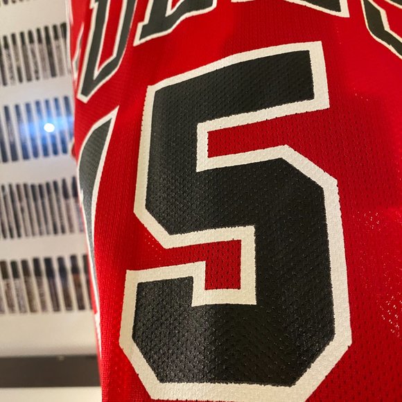 Champion - Chicago Bulls Ron Artest vintage jersey (199) 44 RARE - Picture 7 of 10